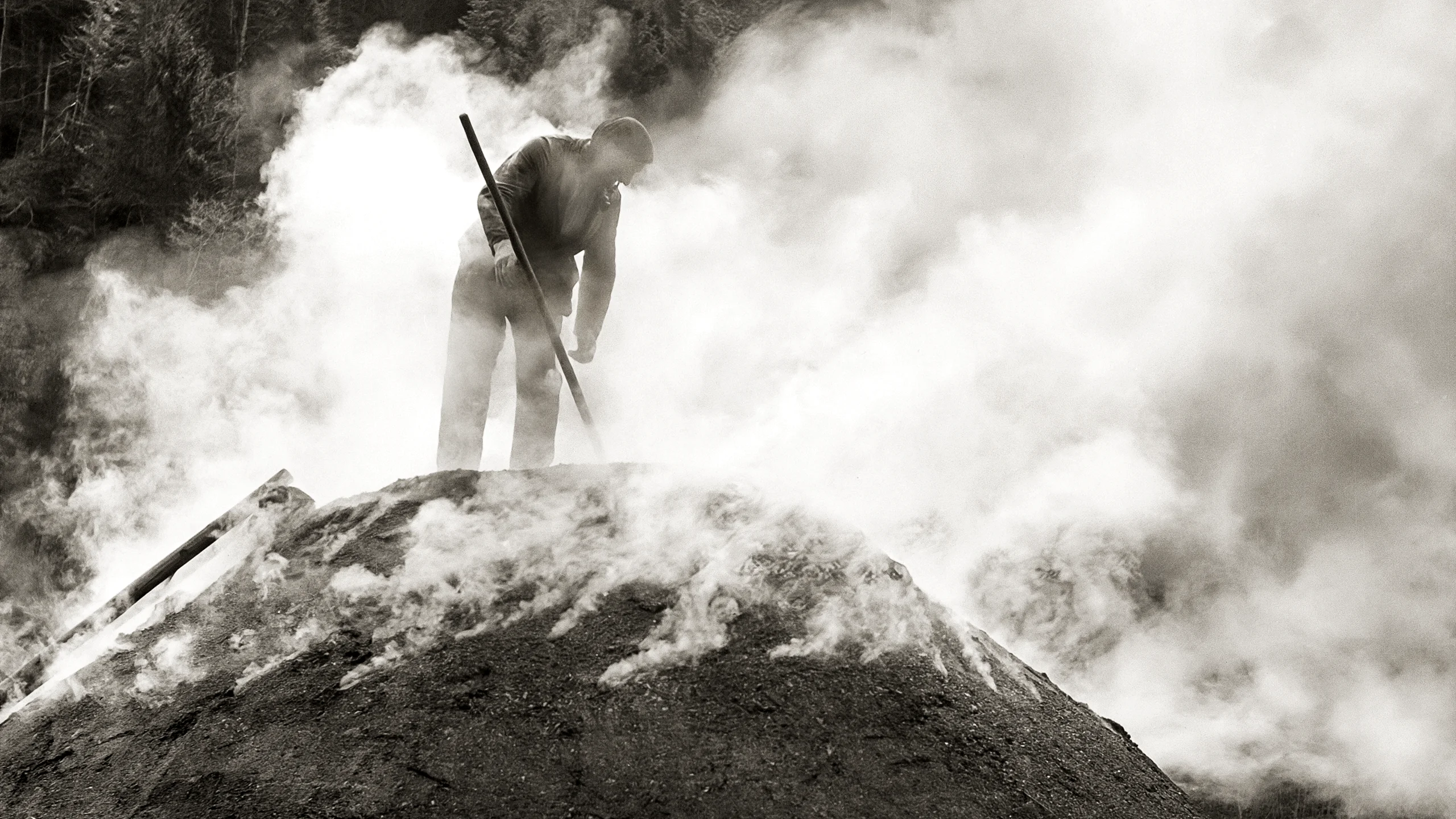 Schweizerisches Agrarmuseum Burgrain Köhlertage