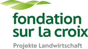 Fondation sur la croix