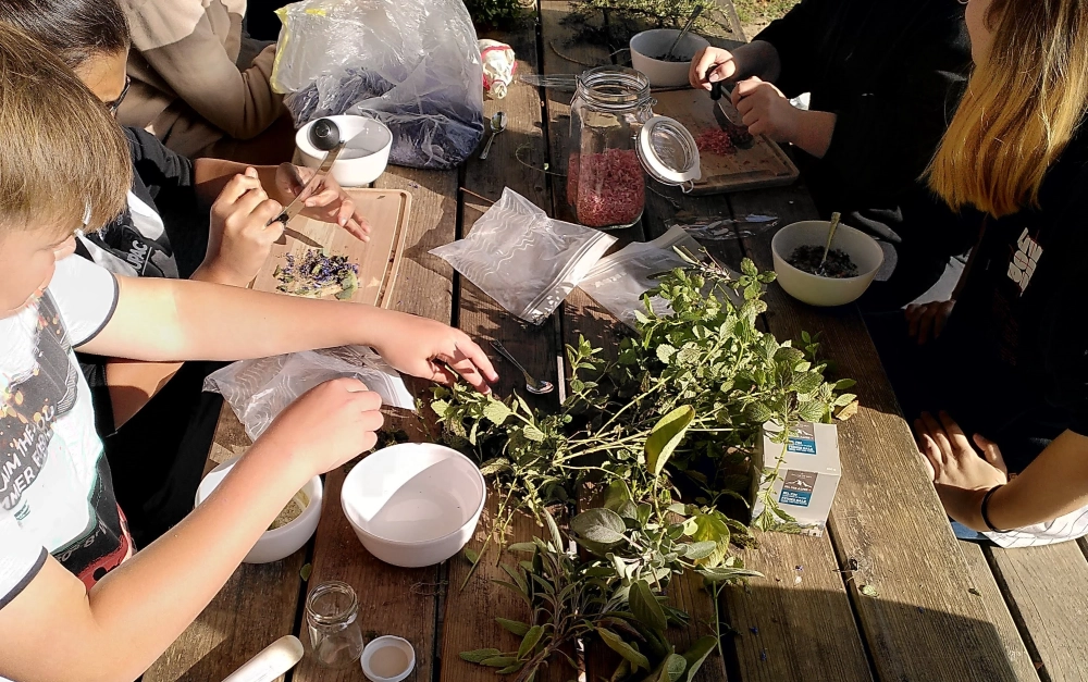 Kräutersalz herstellen