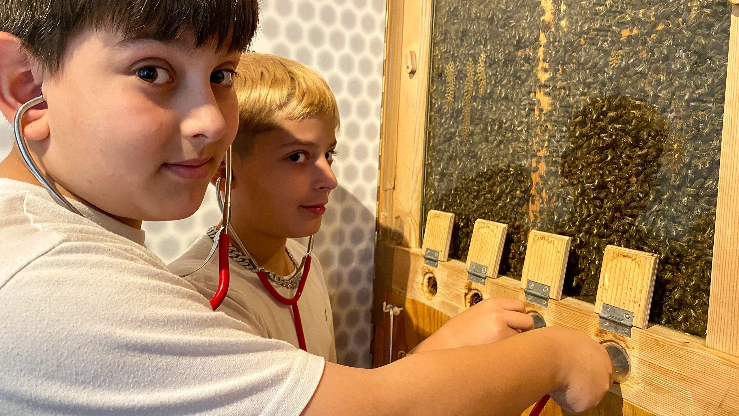 Schweizerisches Agrarmuseum Burgrain Bienen-Erlebnis