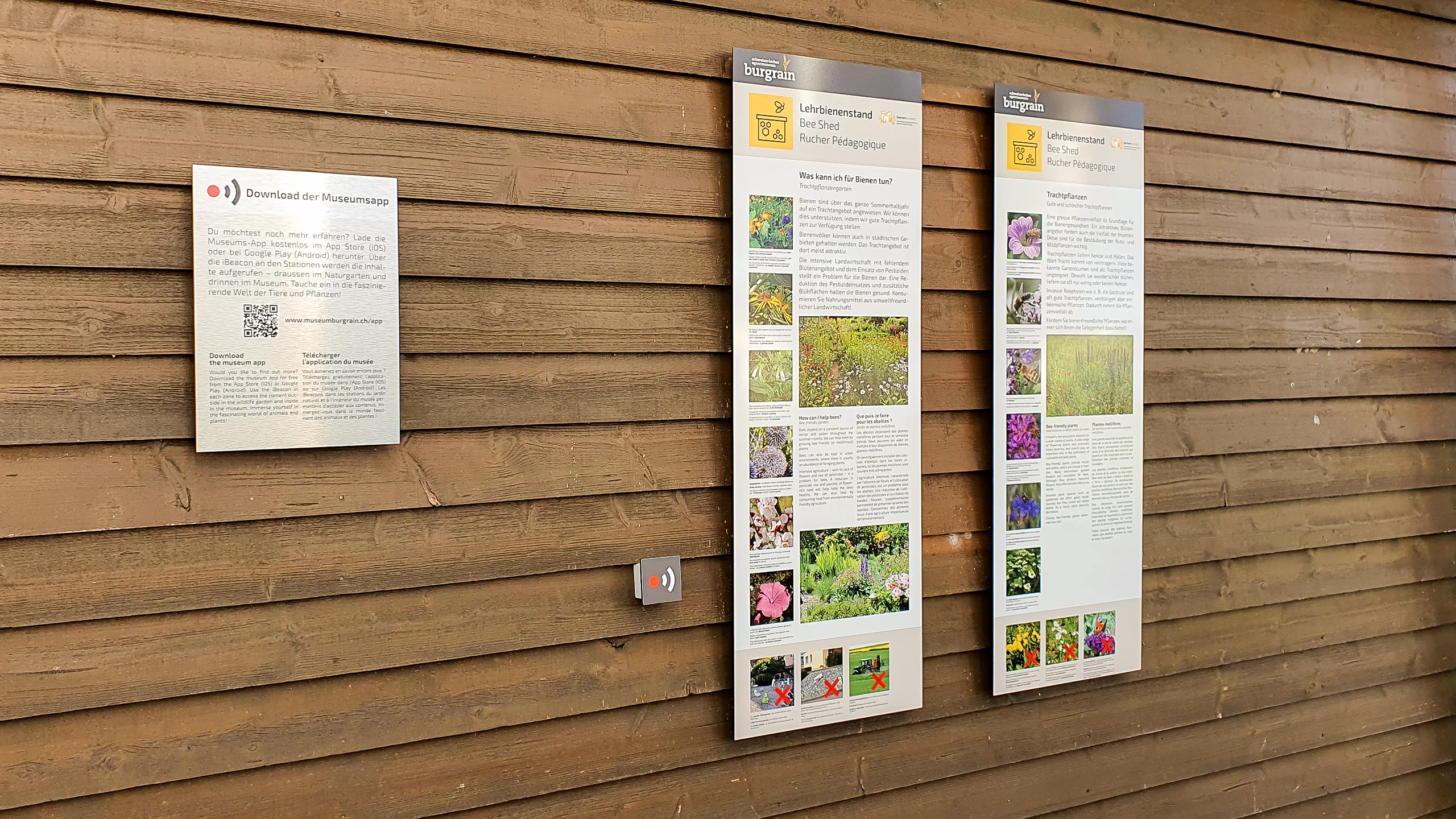 Schweizerisches Agrarmuseum Burgrain Bienenstand