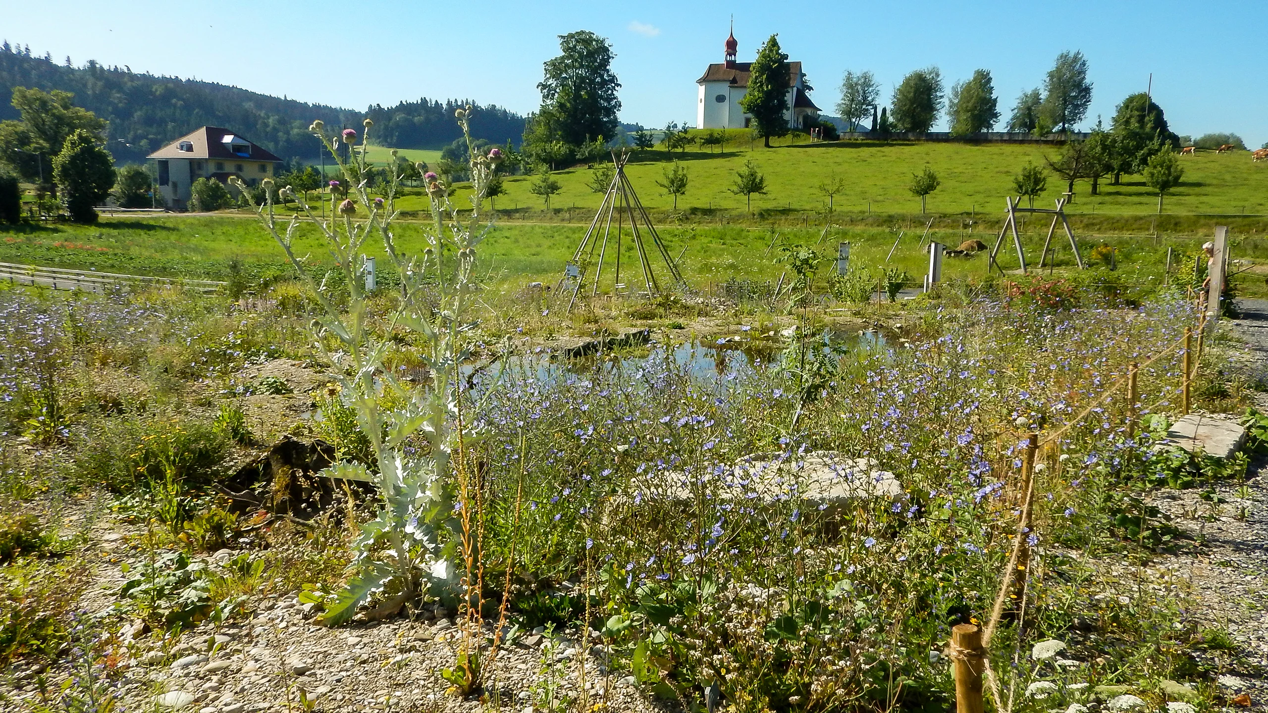 Schweizerisches Agrarmuseum Burgrain Naturgarten