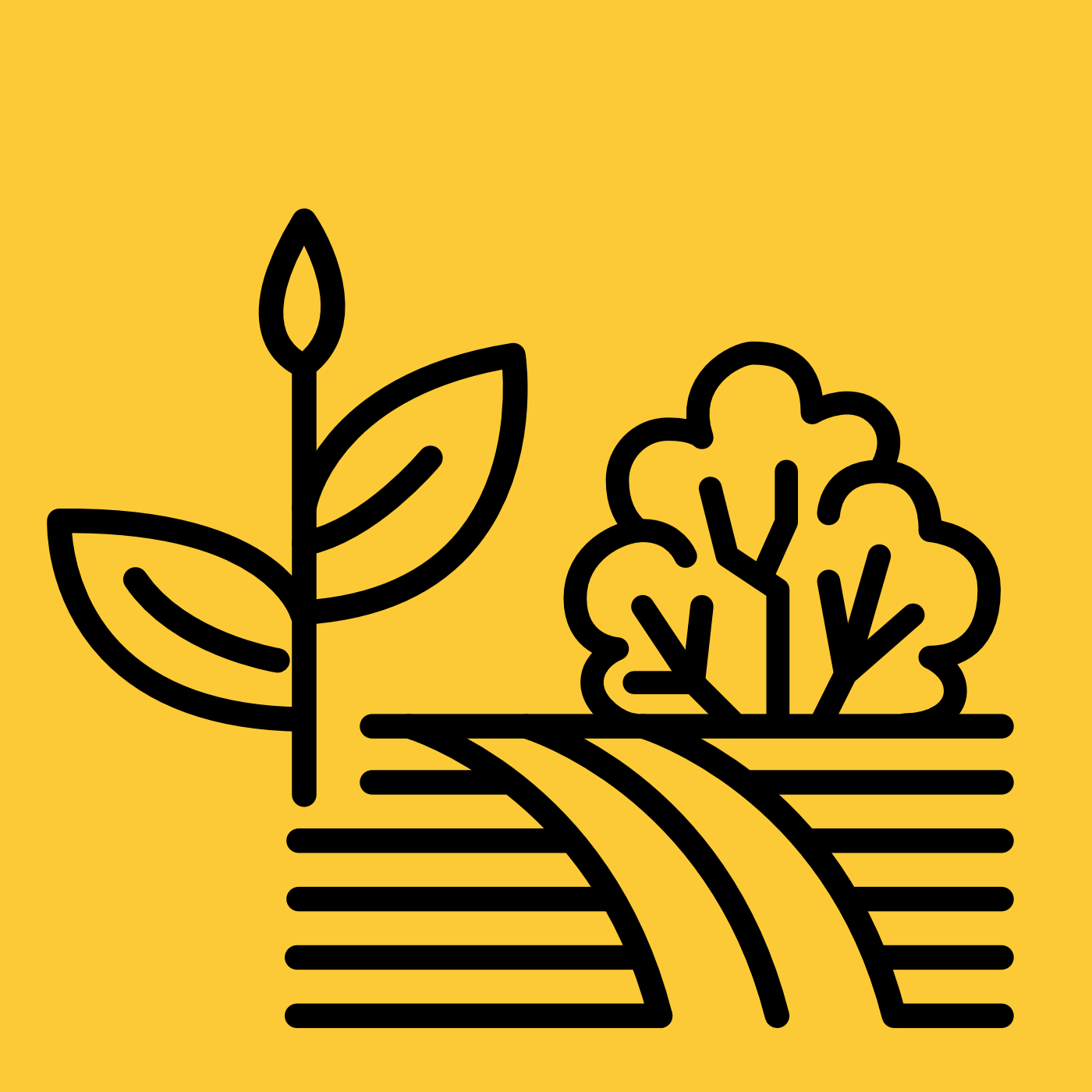 Natur-, Bildungsgarten