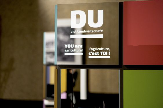 DSC1683_copia-S_kopie